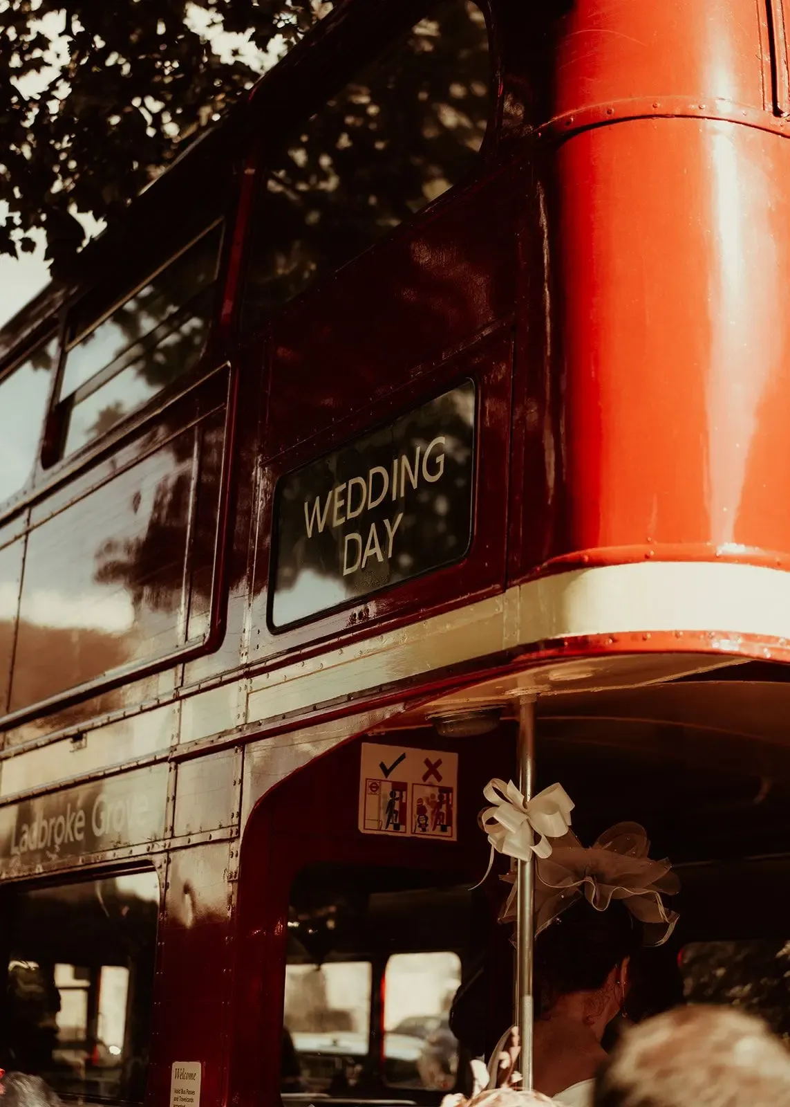 Una imagen que ocupa todo el ancho