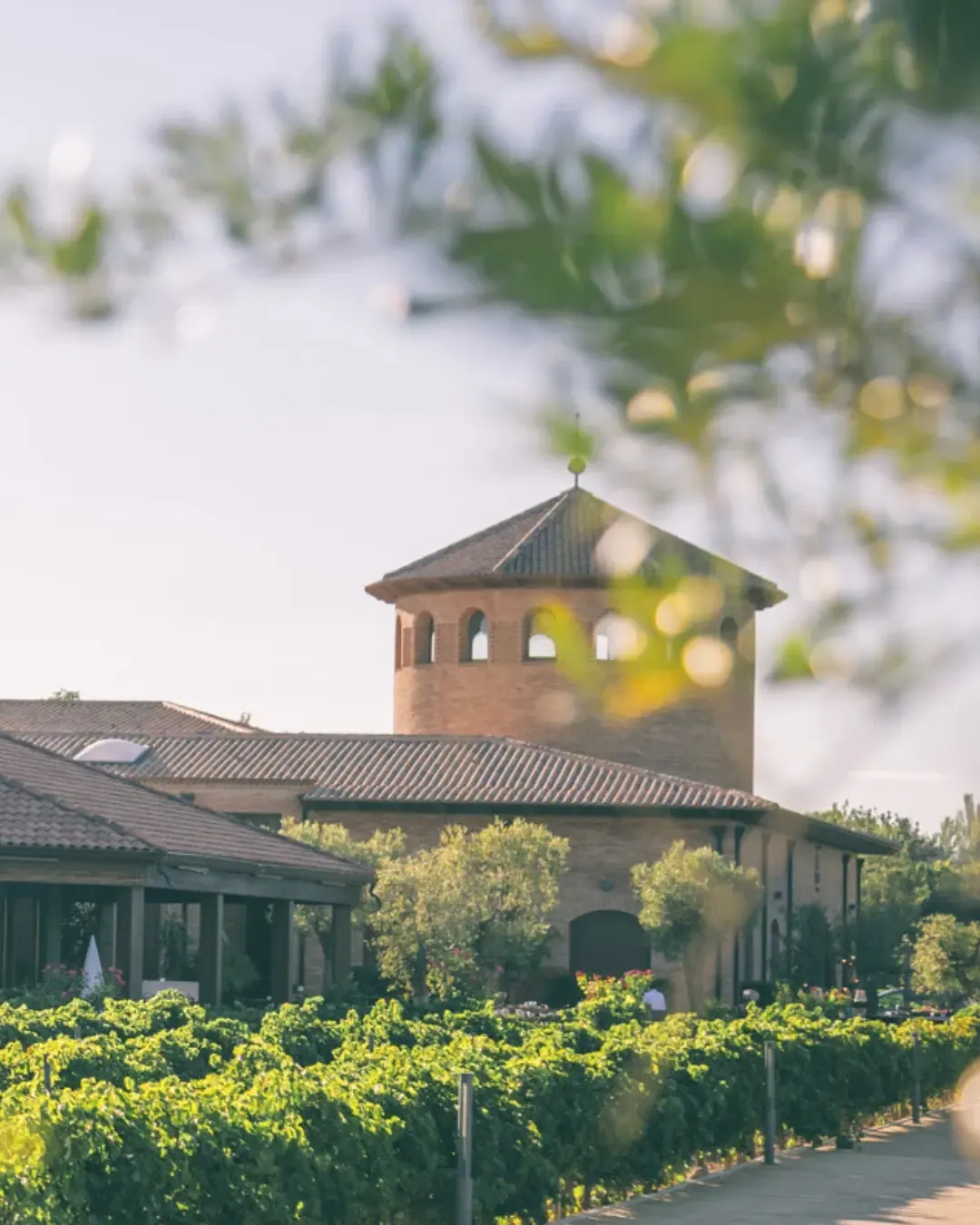 Una imagen que ocupa todo el ancho